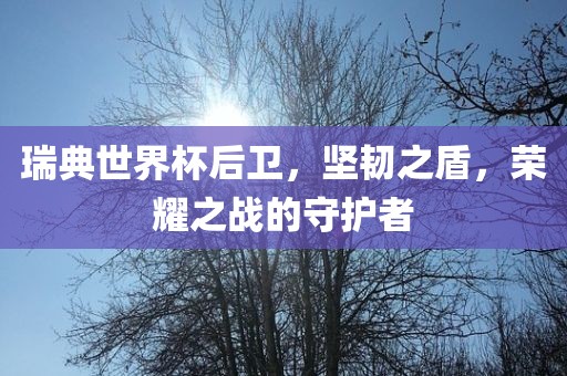 瑞典世界杯后卫，坚韧之盾，荣耀之战的守护者眉山市正发家政服务有限公司