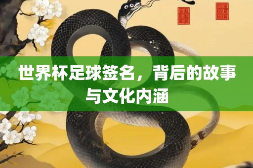 世界杯足球签名，背后的故事与文化内涵眉山市正发家政服务有限公司