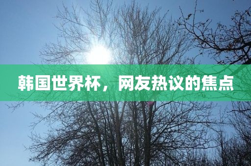 韩国世界杯，网友热议的焦点