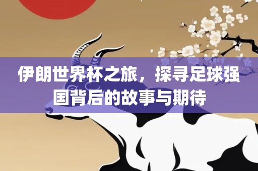 伊朗世界杯之旅，探寻足球强国背后的故事与期待