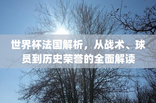 世界杯法国解析，从战术、球员到历史荣誉的全面解读