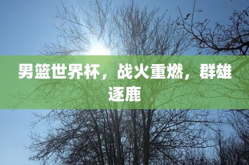 男篮世界杯，战火重燃，群雄逐鹿