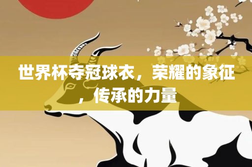 世界杯夺冠球衣，荣耀的象征，传承的力量