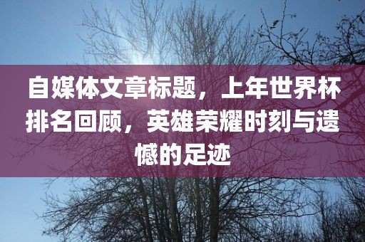自媒体文章标题，上年世界杯排名回顾，英雄荣耀时刻与遗憾的足迹