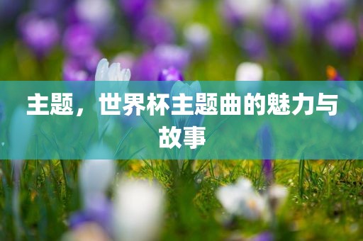 眉山市正发家政服务有限公司主题，世界杯主题曲的魅力与故事
