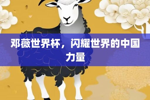邓薇世界杯，闪耀世界的中国力量