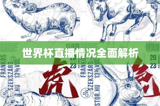 世界杯直播情况全面解析