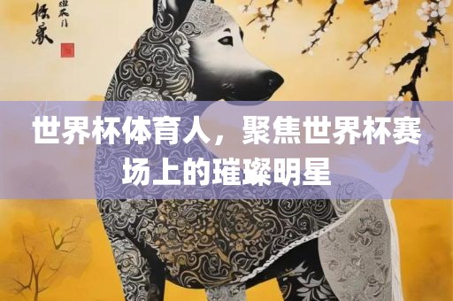 世界杯体育人，聚焦世界杯赛场上的璀璨明星