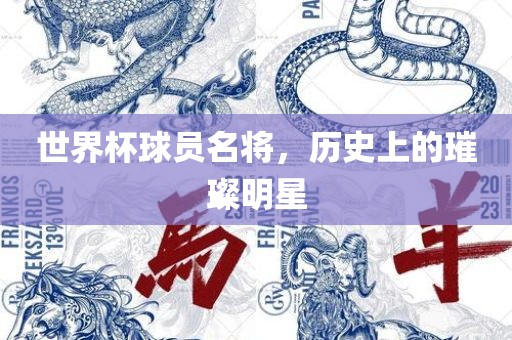 世界杯球员名将，历史上的璀璨明星眉山市正发家政服务有限公司
