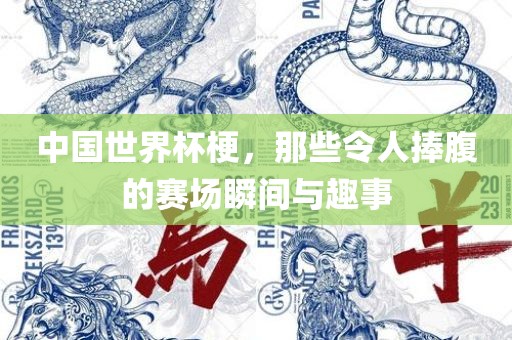 中国世界杯梗，那些令人捧腹的赛场瞬间与趣事眉山市正发家政服务有限公司
