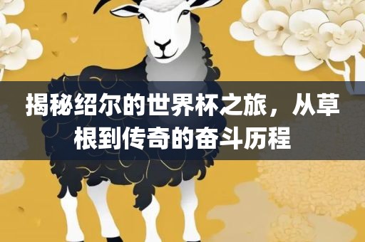 揭秘绍尔的世界杯之旅，从草根到传奇的奋斗历程眉山市正发家政服务有限公司