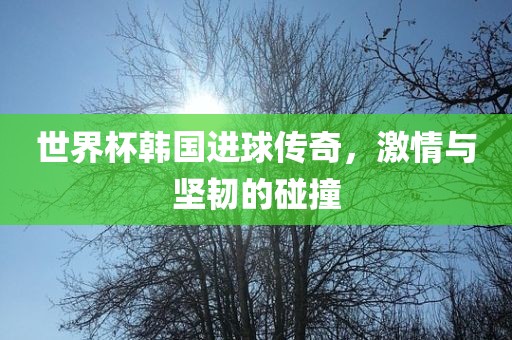世界杯韩国进球传奇，激情与坚韧的碰撞