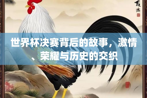 世界杯决赛背后的故事，激情、荣耀与历史的交织眉山市正发家政服务有限公司