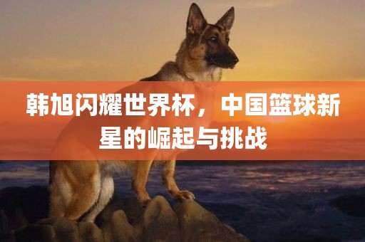 韩旭闪耀世界杯，中国篮球新星的崛起与挑战眉山市正发家政服务有限公司
