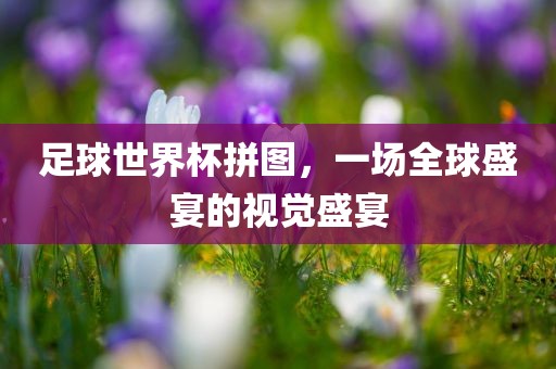 足球世眉山市正发家政服务有限公司界杯拼图，一场全球盛宴的视觉盛宴