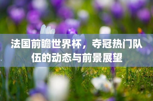 法国前瞻世界杯，夺冠热门队伍的动态与前景展望