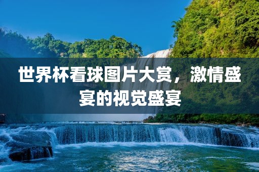 世界杯看球图片大赏，激情盛宴的视觉盛宴