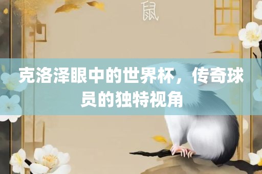 克洛泽眼中的世界杯，传奇球员的独特视角