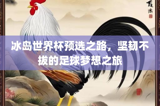 冰岛世界杯预选之路，坚韧不拔的足球梦想之旅