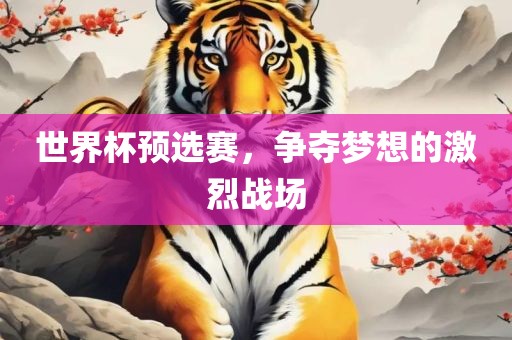 世界杯预选赛，争夺梦想的激烈战场