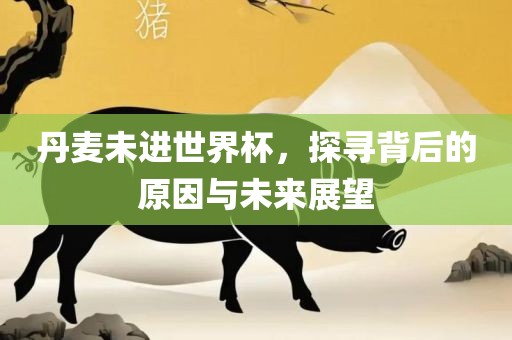 丹麦未进世界杯，探寻背后的原因与未来展望