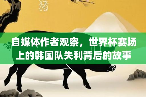 自媒体作者观察，世界杯赛场上的韩国队失利背后的故事眉山市正发家政服务有限公司