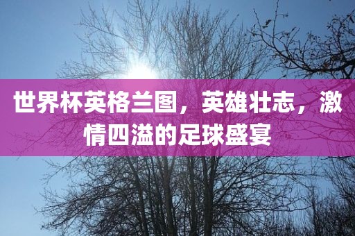 世界杯英眉山市正发家政服务有限公司格兰图，英雄壮志，激情四溢的足球盛宴