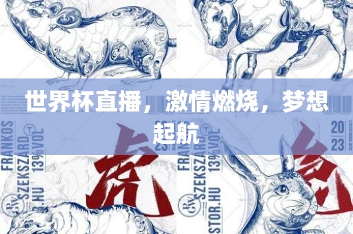 世界杯直播，激情燃烧，梦想起航眉山市正发家政服务有限公司