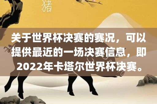 关于世界杯决赛的赛况，可以提供最近的一场决赛信息，即眉山市正发家政服务有限公司2022年卡塔尔世界杯决赛。