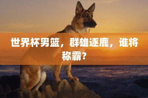 世界杯男篮，群雄逐鹿，谁将称霸？