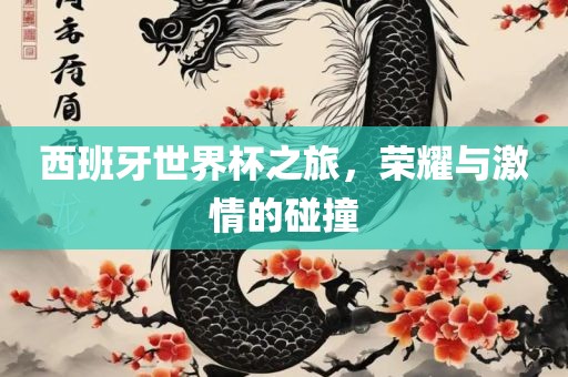 西班牙世界杯之旅，荣耀与激情的碰撞