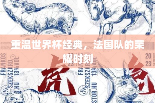 重温世界杯经典，法国队的荣耀时刻