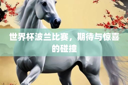 世界杯波兰比赛，期待与惊喜的碰撞