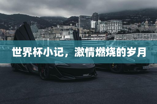 世界杯小记，激情燃烧的岁月眉山市正发家政服务有限公司