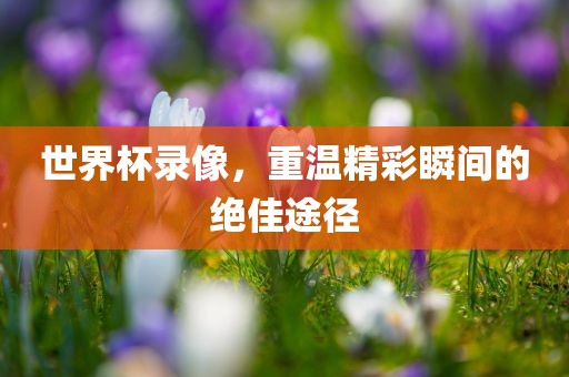 世界杯录像，重温精彩瞬间的绝佳途径