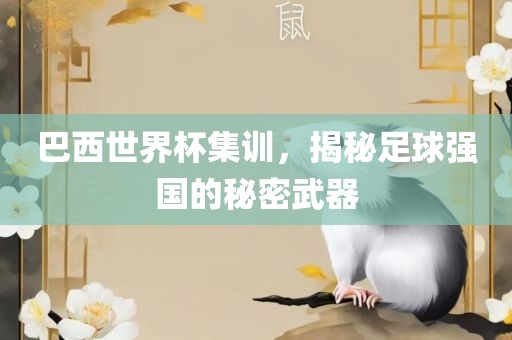 巴西世界杯集训，揭秘足球强国的秘密武器眉山市正发家政服务有限公司