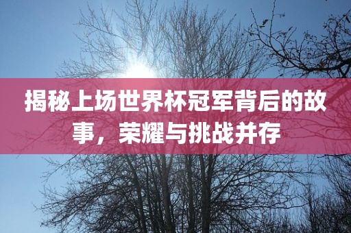 揭秘上场世界杯冠军背后的故事，荣耀与挑战并存