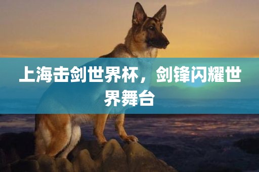 上海击剑世界杯，剑锋闪耀世界舞台眉山市正发家政服务有限公司