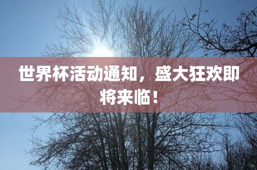 世界杯活动通知，盛大狂欢即将来临！眉山市正发家政服务有限公司