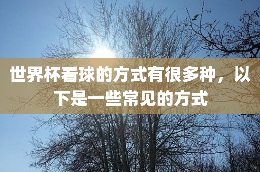 世界杯看球的方式有很多种，以下是一些常见的方式眉山市正发家政服务有限公司