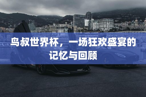 鸟叔眉山市正发家政服务有限公司世界杯，一场狂欢盛宴的记忆与回顾