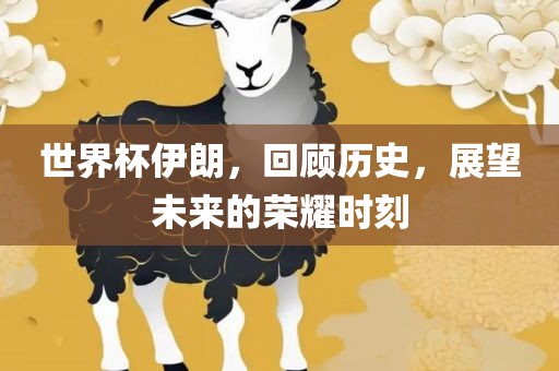 世界杯伊朗，回顾历史，展望未来的荣耀时刻眉山市正发家政服务有限公司