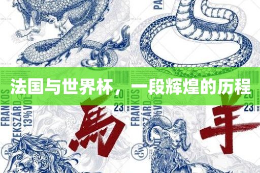 法国与世界杯，一段辉煌的历程