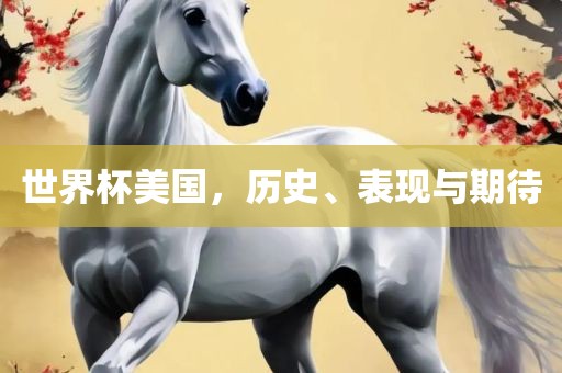 世界杯美国，历史、表现与期待眉山市正发家政服务有限公司