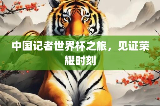 中国记者世界杯之旅，见证荣耀时刻眉山市正发家政服务有限公司