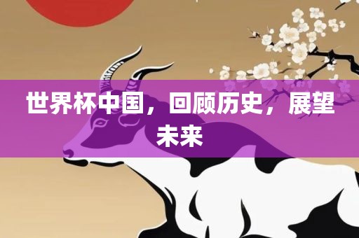 世界杯中国，回顾历史，展望未来