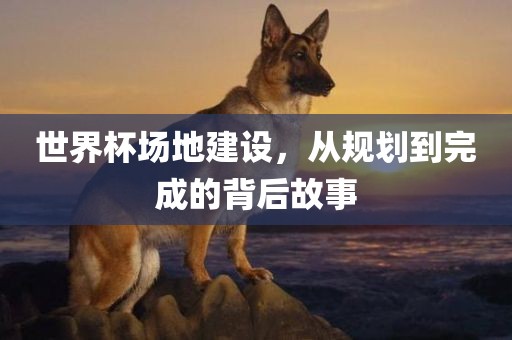 世界杯场地建设，从规划到完成的背后故事