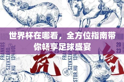 世界杯在哪看，全方位指南带你畅享足球盛宴