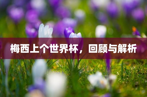 梅西上个世界杯，回顾与解析