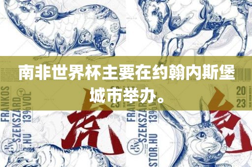 南非世界杯主要在约翰内斯堡城市举办。